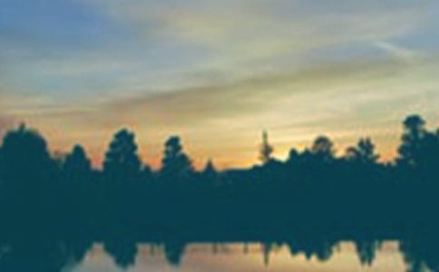 ���ݰ����ľ��ӅR��31��