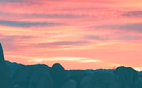 傍晚小學(xué)作文