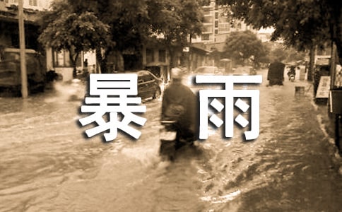 《暴雨篩》讀后感