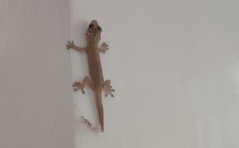 ��С�ڻ���β�͡���˼