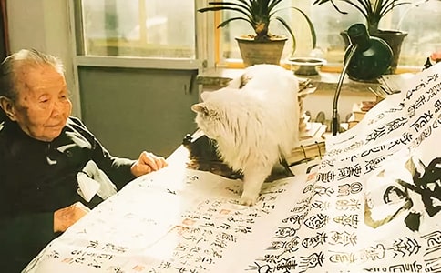 ����ɢ��ժ�����p