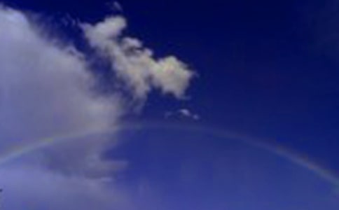 我是一道彩虹作文