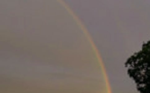 �L���Ĳʺ�����