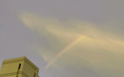 風雨過后是彩虹作文