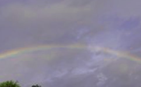 ���еĲʺ磨��(j��ng)��15ƪ��