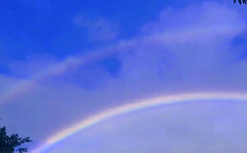 幾米繪本的每一頁都是一抹彩虹作文