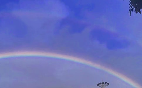 �ʺ������