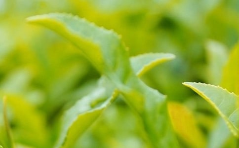 ���~���M��ʮ��ζ���քe����Щ