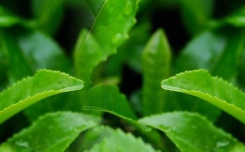 ժ���~���ġ����x7ƪ��