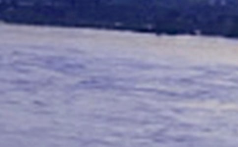 �P���L����Ԋ��