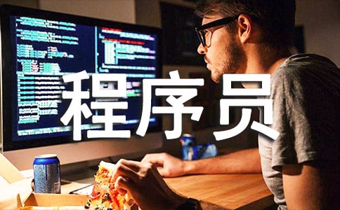 程序員試用期轉(zhuǎn)正工作總結(jié)(合集15篇)