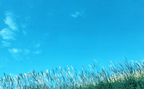 含春風(fēng)的詩句