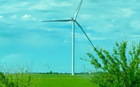 關于春風的作文