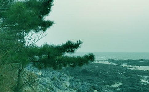 ���ݴ��L��Ԋ��