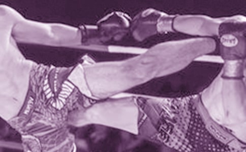 ������ҷ�ʡ�zӑ��(15ƪ)