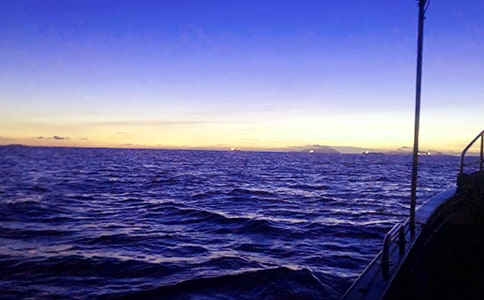 (必備)描寫大海的作文15篇