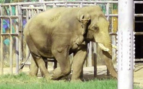 ������Λρ�ʹ���Ĺ���31��