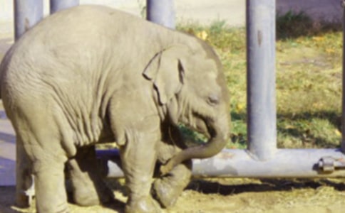 �����Λρ�Ĺ��³��á�9ƪ��