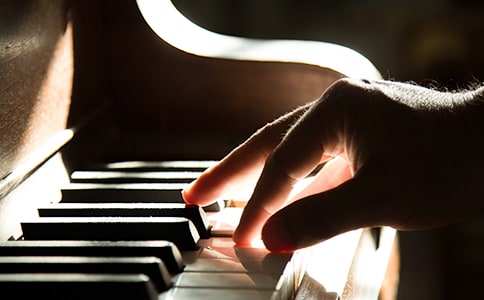 ��ţ���ٵĹ���