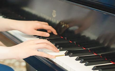 ��ţ���ٵĹ���