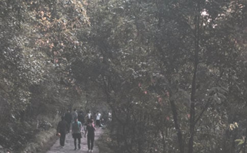 ��ɽ������