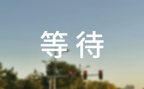等待的作文(共15篇)