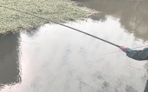 關于釣魚的詩句