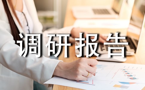 中小企業(yè)發(fā)展調(diào)研報告