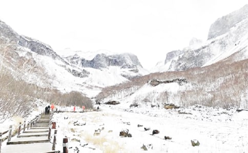 ��������ժ��