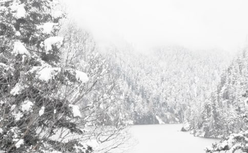 ����ľ�ذ�ı��B