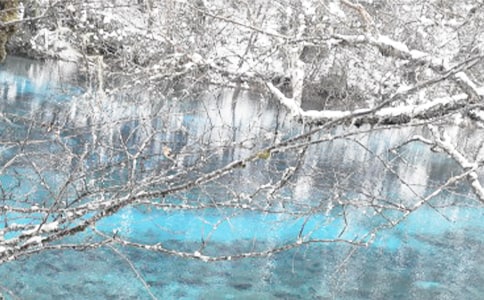 �ٺ���Ķ���Ҳ��ů�������\��15ƪ