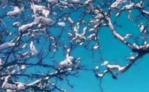 關于冬天的詩句語錄