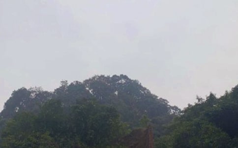 峨眉山之旅作文