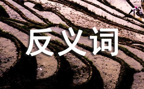 開拓的近義詞是什么_反義詞及造句有哪些