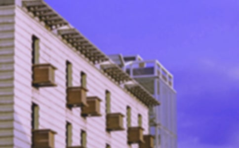 大班語言活動變色的房子