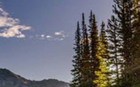 國家重點風景區接待服務經驗交流