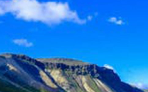 笑看《圍城》風景作文