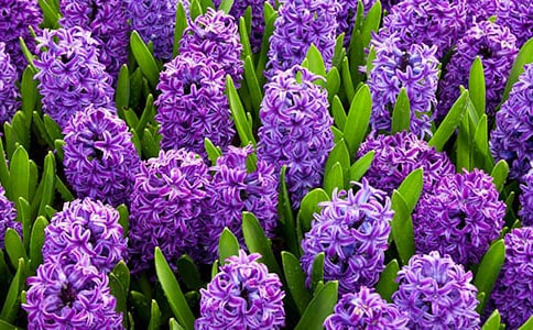 �L��������