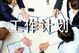 工作計劃【精】
