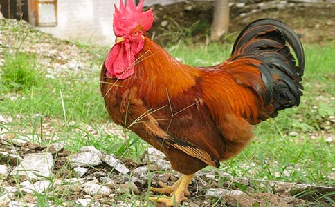 �P��С���u������