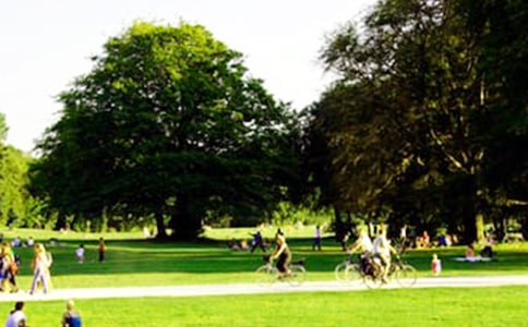 最新九龍城寨公園的導游詞范文