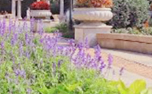 ���@������