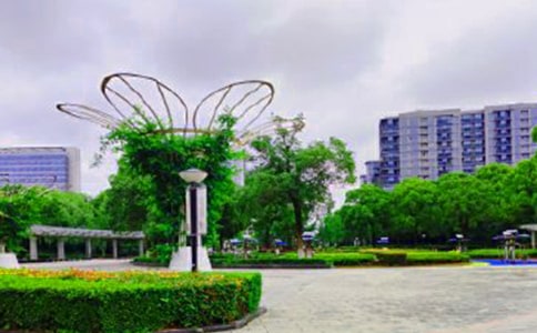 �ΞI�����@����