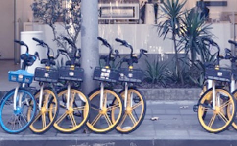 �����܇���������ġ�����8ƪ��