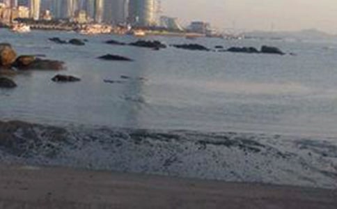 【精品】游鼓浪嶼作文14篇