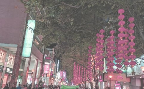 讀《時代廣場的蟋蟀》有感