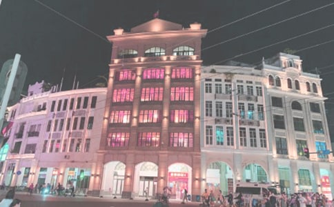 《時代廣場的蟋蟀》后感