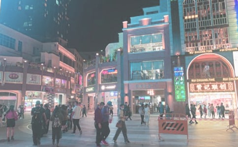 《時代廣場的蟋蟀》讀后