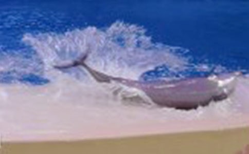 �{ɫ�ĺ����u����