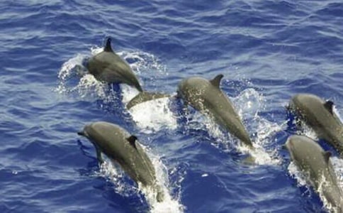 С�����v�U(xi��n)ӛ�Ĺ���